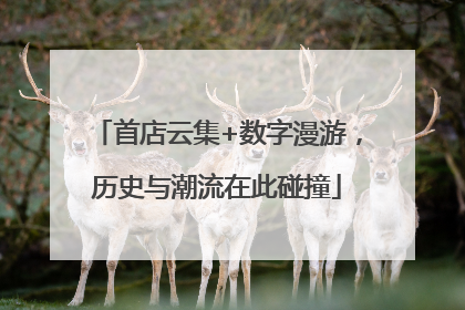 首店云集+数字漫游，历史与潮流在此碰撞