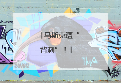 马斯克遭“背刺”！