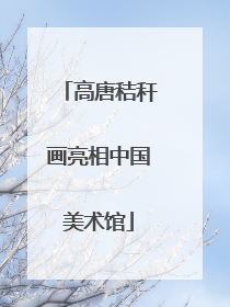 高唐秸秆画亮相中国美术馆