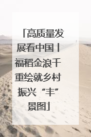 高质量发展看中国丨福稻金浪千重绘就乡村振兴“丰”景图