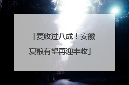 麦收过八成！安徽夏粮有望再迎丰收