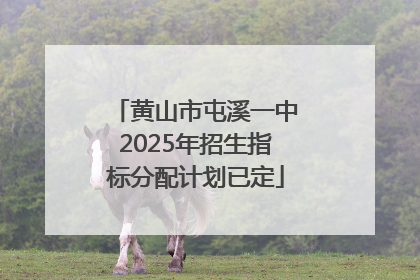 黄山市屯溪一中2025年招生指标分配计划已定