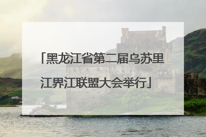黑龙江省第二届乌苏里江界江联盟大会举行