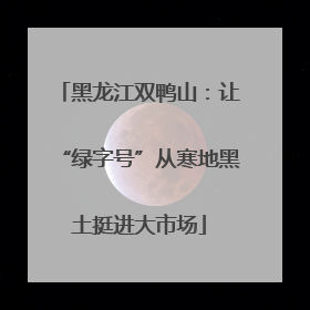 黑龙江双鸭山：让“绿字号”从寒地黑土挺进大市场