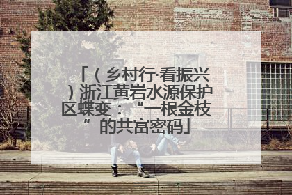 （乡村行·看振兴）浙江黄岩水源保护区蝶变：“一根金枝”的共富密码