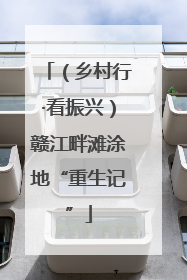 （乡村行·看振兴）赣江畔滩涂地“重生记”
