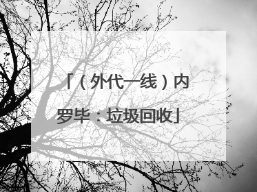（外代一线）内罗毕：垃圾回收