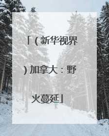 （新华视界）加拿大：野火蔓延