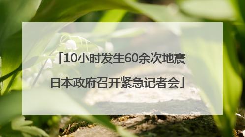 10小时发生60余次地震 日本政府召开紧急记者会