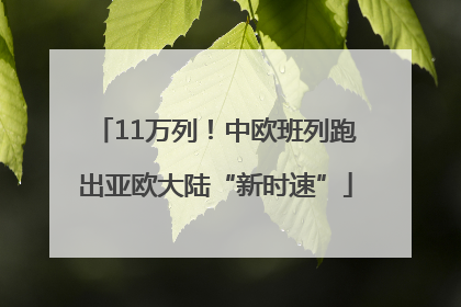 11万列！中欧班列跑出亚欧大陆“新时速”