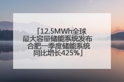 12.5MWh全球最大容量储能系统发布 合肥一季度储能系统同比增长425%
