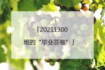20211300班的“毕业答卷”