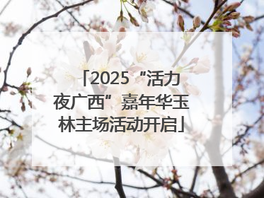 2025“活力夜广西”嘉年华玉林主场活动开启