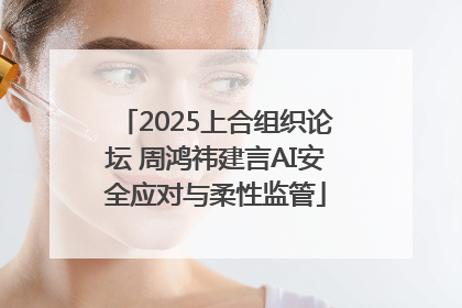 2025上合组织论坛 周鸿祎建言AI安全应对与柔性监管