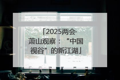 2025两会·萧山观察：“中国视谷”的新江湖