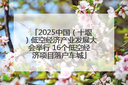2025中国（十堰）低空经济产业发展大会举行 16个低空经济项目落户车城