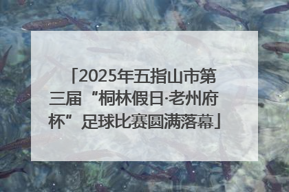 2025年五指山市第三届“桐林假日·老州府杯”足球比赛圆满落幕