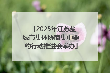 2025年江苏盐城市集体协商集中要约行动推进会举办