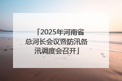 2025年河南省总河长会议暨防汛备汛调度会召开