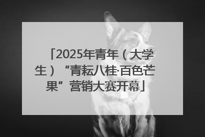 2025年青年（大学生）“青耘八桂·百色芒果”营销大赛开幕