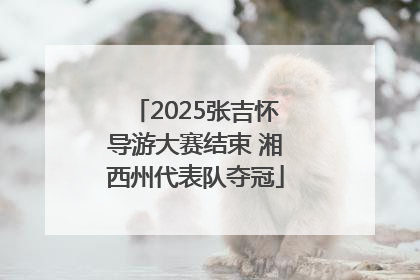 2025张吉怀导游大赛结束 湘西州代表队夺冠