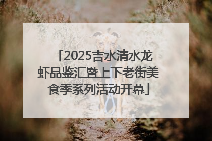 2025吉水清水龙虾品鉴汇暨上下老街美食季系列活动开幕