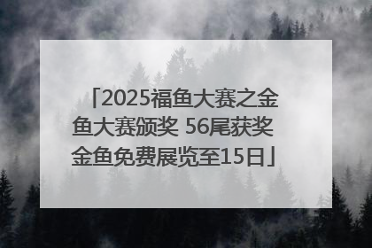 2025福鱼大赛之金鱼大赛颁奖 56尾获奖金鱼免费展览至15日