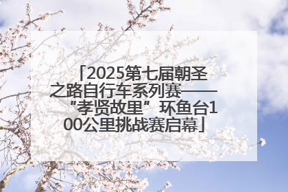 2025第七届朝圣之路自行车系列赛——“孝贤故里”环鱼台100公里挑战赛启幕