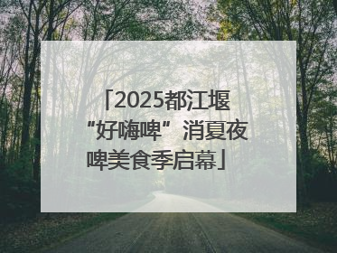 2025都江堰“好嗨啤”消夏夜啤美食季启幕