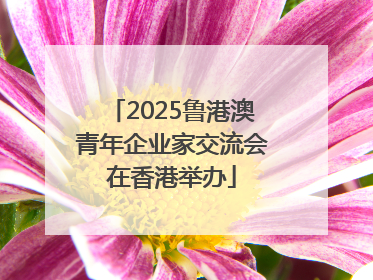2025鲁港澳青年企业家交流会在香港举办