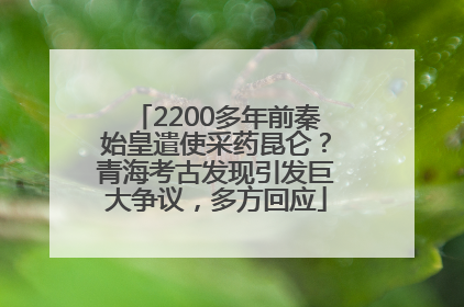 2200多年前秦始皇遣使采药昆仑？青海考古发现引发巨大争议，多方回应