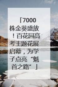 7000株金葵盛放！百花园高考主题花展启幕，为学子点亮“魁首之路”