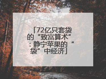 72亿只套袋的“致富算术”：静宁苹果的“袋”中经济