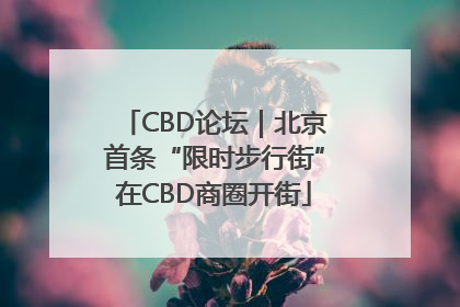 CBD论坛｜北京首条“限时步行街”在CBD商圈开街