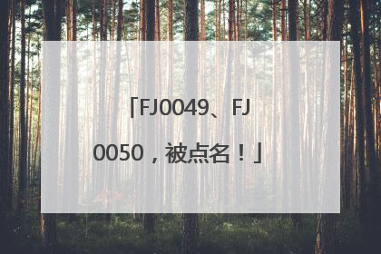 FJ0049、FJ0050，被点名！