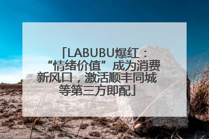 LABUBU爆红：“情绪价值”成为消费新风口，激活顺丰同城等第三方即配